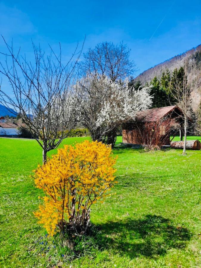Apartment Mona'S Home Sankt Pankraz エクステリア 写真
