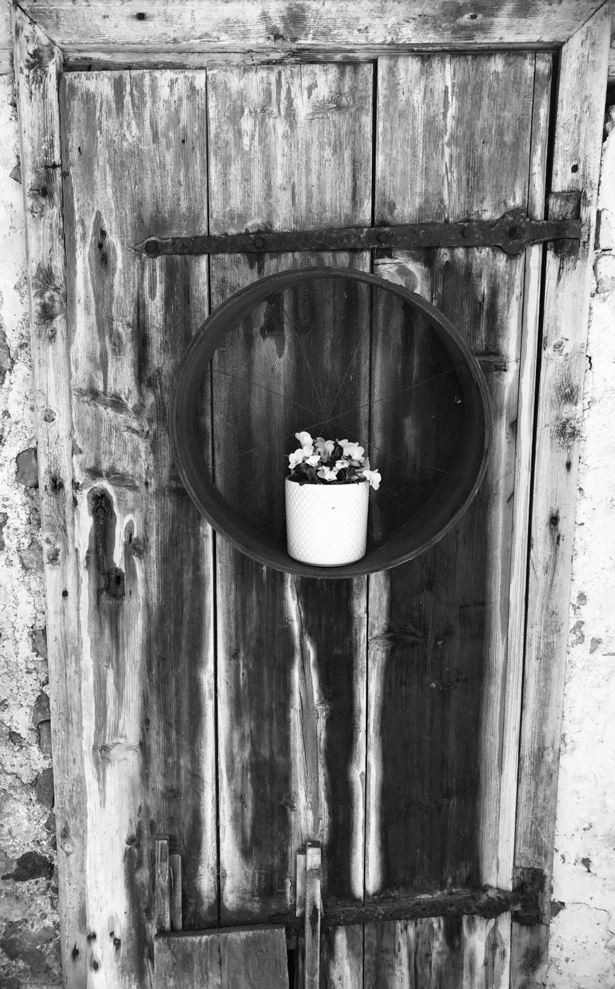 Apartment Mona'S Home Sankt Pankraz エクステリア 写真