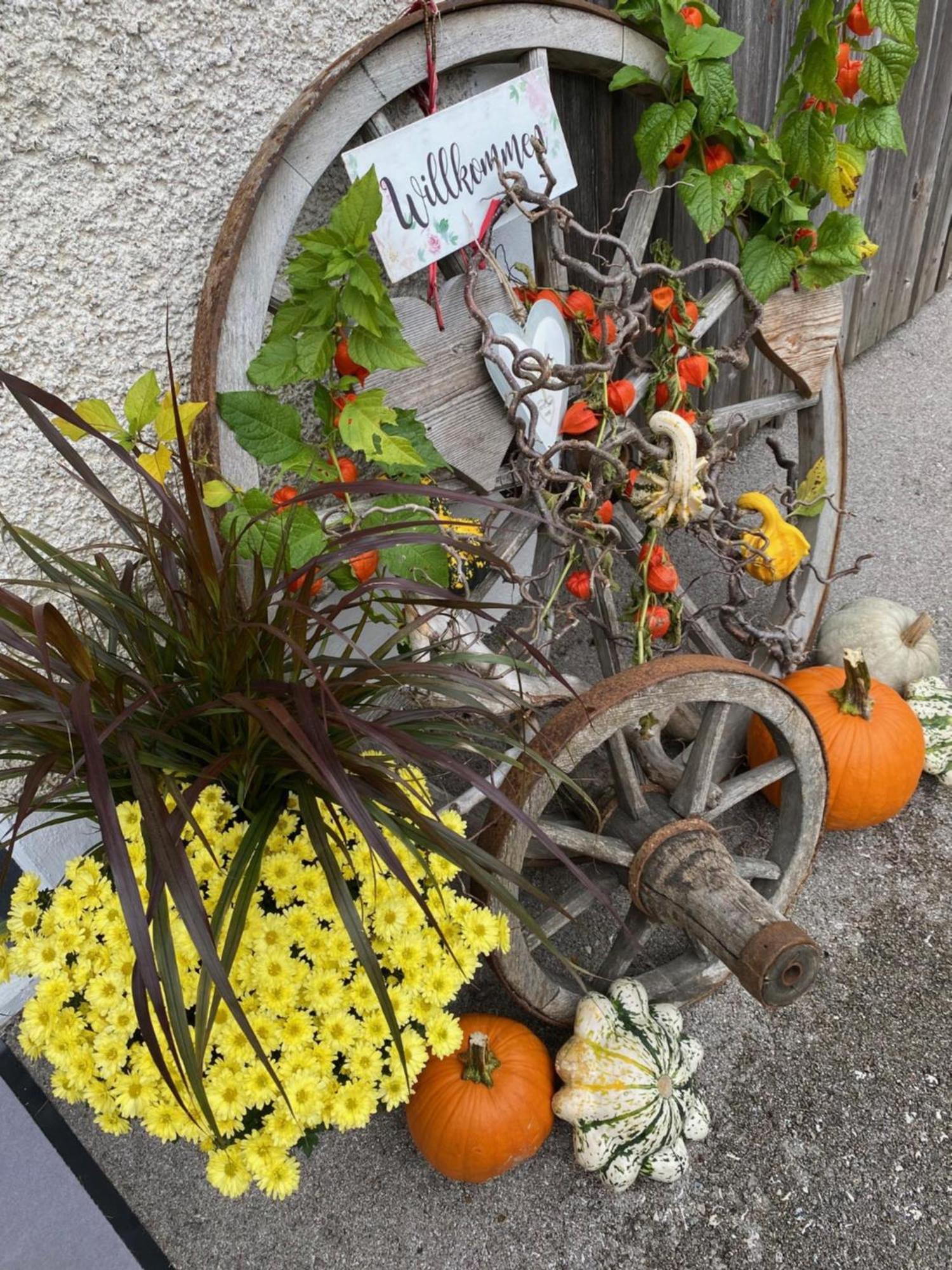 Apartment Mona'S Home Sankt Pankraz エクステリア 写真